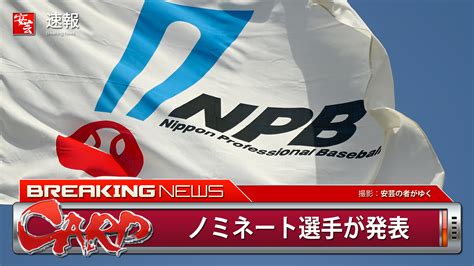 【カープ】オールスターファン投票が開始。ノミネート選手が発表 安芸の者がゆく＠カープ情報ブログ