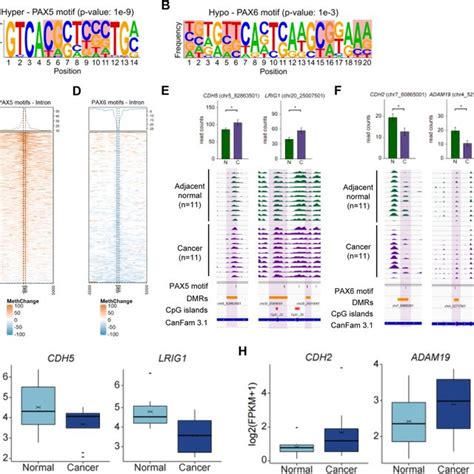 Schematic Presentation Of Genome Wide Methylation Profiling In Cmt