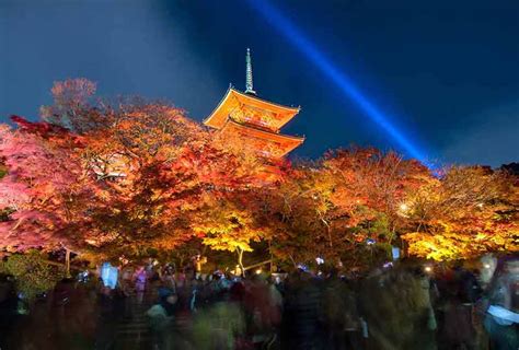 20 Things To Do In Kyoto At Night In 2025