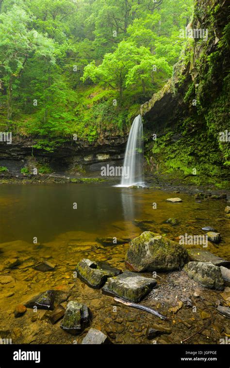 Sgwd Gwladus Ladys Falls Waterfall On The Afon Pyrddin In The Bannau