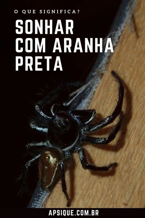 Sonhar Com Aranha Preta - Sonhar com aranha preta o que significa – Artofit