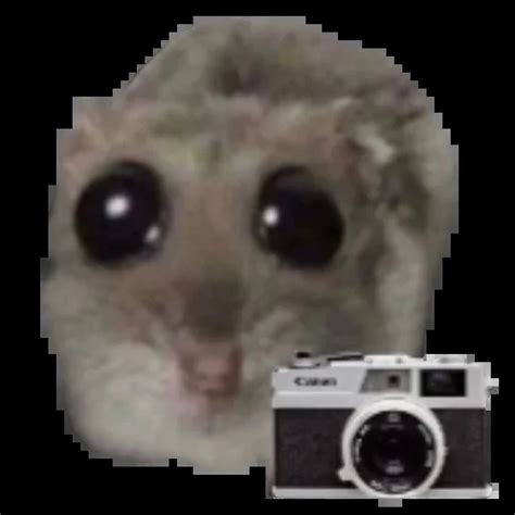 Telegram Sticker 😀 from «Грустный хомяк » pack