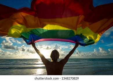 Gay Flag Stock Photos Images Photography Shutterstock