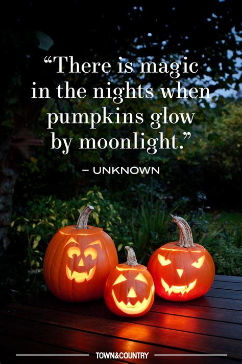 Pumpkin Decorating Quotes
