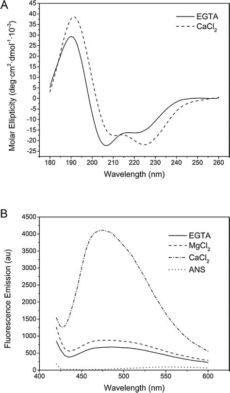 Recombinant Cml Exhibits Biochemical Properties Of A Ca Sensor