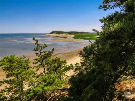 day  cape  national seashore  wander filled life