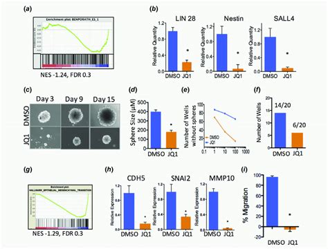 Jq1 Suppresses Stem Cell Signaling And Tumor Cell Self Renewal In Atrt Download Scientific