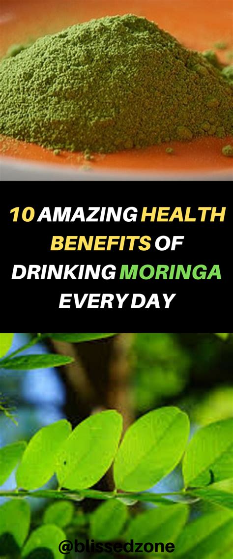 10 Amazing Health Benefits Of Drinking Moringa Everyday Artofit