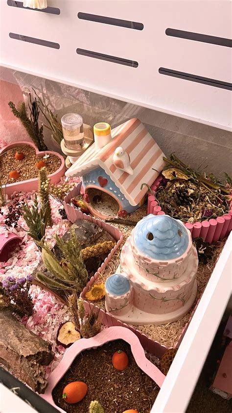 pink aesthetic hamster cage inspiration