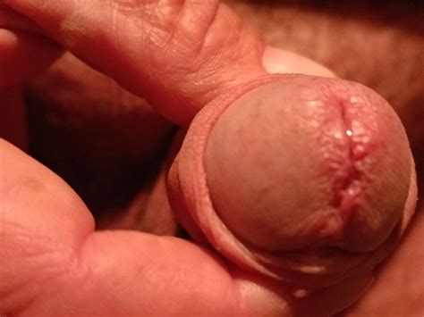 Asi Mienza A Empinarse 28 Nude Pics XHamster