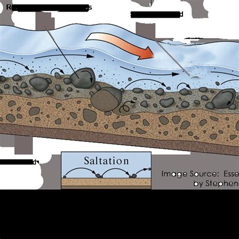 1 Sediment Transport Modes Download Scientific Diagram