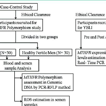 Schematic representation of the study design. | Download Scientific Diagram