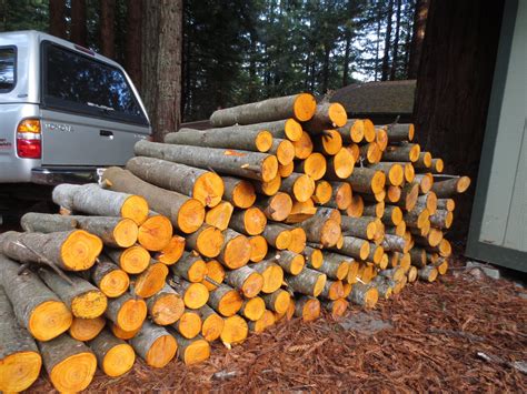 mushroom log cultivation instructions fungaia farm