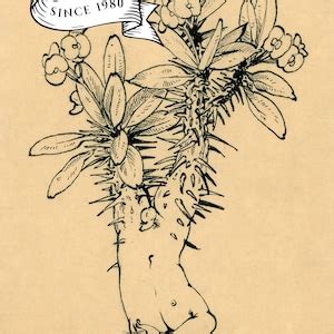 Papalota Planta Queer Lgbtq Surreal Gay Felix D Eon Etsy