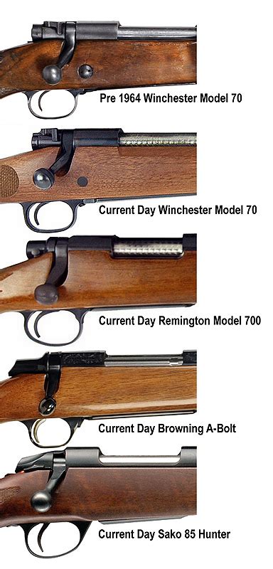 bolt action rifles  common sporting models internet