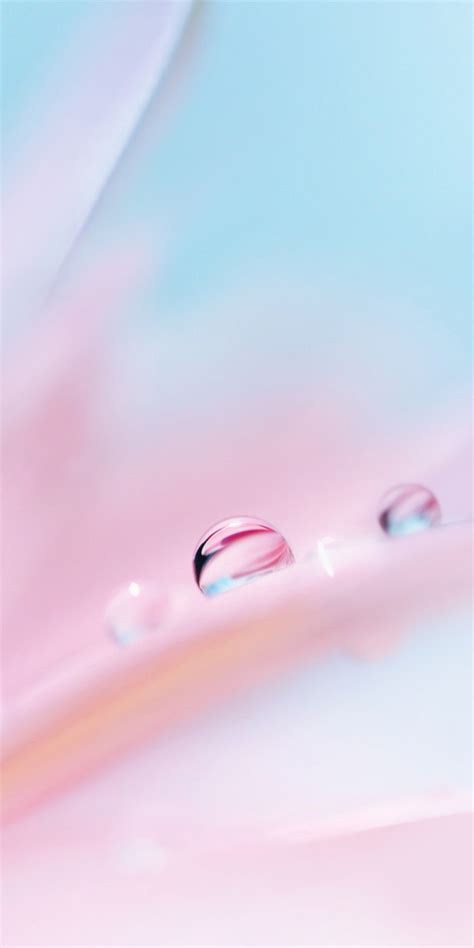 Huawei P20 Abstract Wallpaper 1080x2160 Huawei Wallpapers Flower