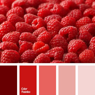 Color Palette #2875 | Color Palette Ideas