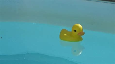 Couple Sex For Naomi And Nico Naomi Public Nudity BLOWJOB Clips Sale