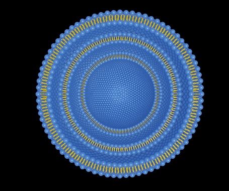 vesikel multi lamelar terisolasi foto stok  gambar