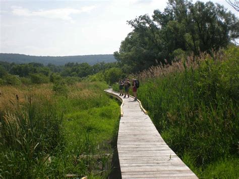 A Guide to Hiking the Appalachian Trail in Virginia - Travel Dudes