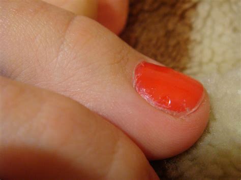 Amateur Pics Amateur Pic Porn Pic