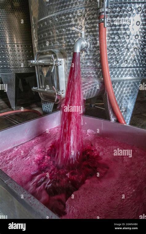 Serbatoi Per La Fermentazione Del Vino Immagini E Fotografie Stock Ad