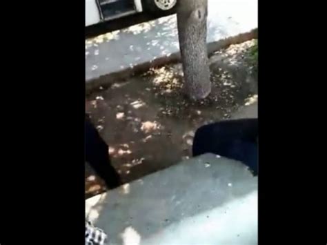 Video Polic As Municipales Amenazan Con Detener A Pareja Gay En Torre N