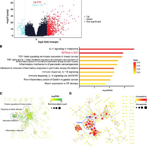 DEG Identification And Analyses A Volcano Plot Of RNA Seq The