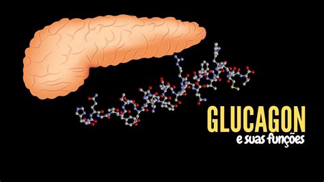 Glucagon Para Que Serve - 5
