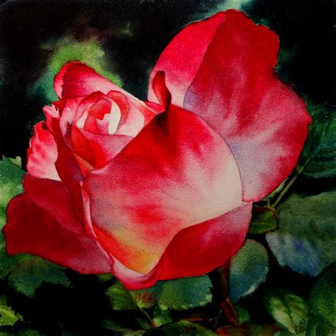 Red Rose Watercolor Painting Original Fine by ArenaShawnFineArt