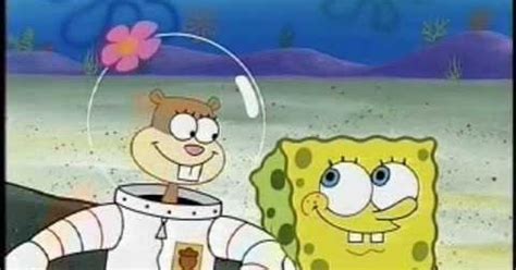 Coompu Net Bob Esponja No Es Gay Su Creador