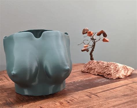 D Printed Boob Planter Built In Drainage Recyclable Etsy