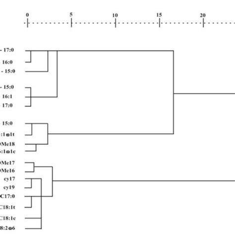 Dendrogram Showing The Results Of The Cluster Analysis Grouping Of