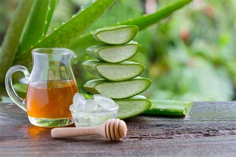 Como fazer um gel de aloe vera caseiro e quais são as suas aplicações