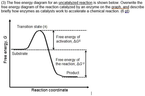 Enzyme Graph Transition State