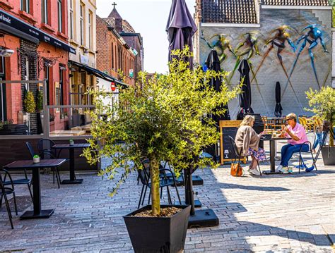 How to Choose Your Best Restaurants in Bruges | The Best Restaurants in