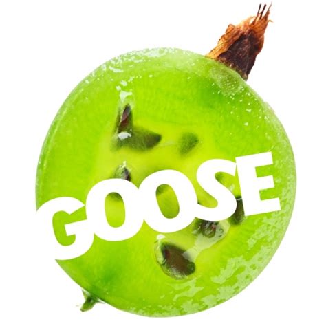 Goose Yonder Brewing Untappd