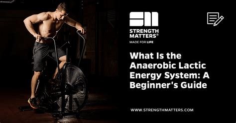 The Anaerobic Lactic Energy System: The Ultimate Guide