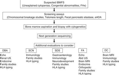 Chapter 4 – Bone Marrow Failure Syndromes | Oncohema Key