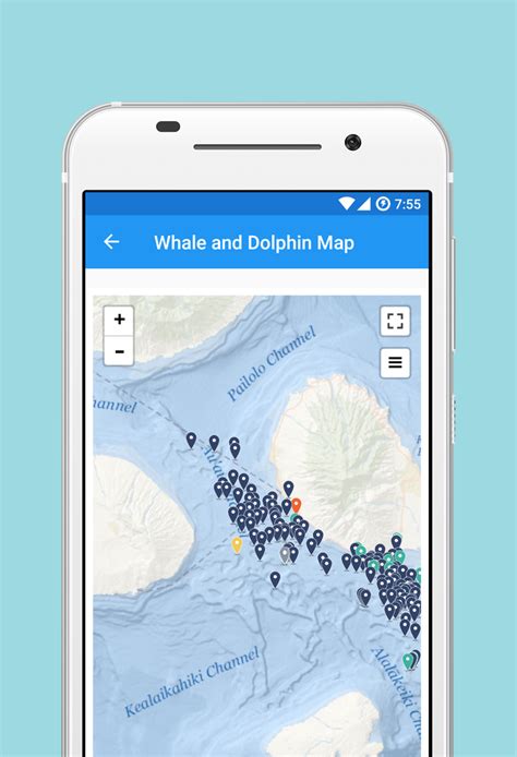 Research Team Launches Dolphin And Whale Tracker App Pacific Whale