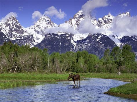 Grand Tetons Wallpapers Wallpapersafari