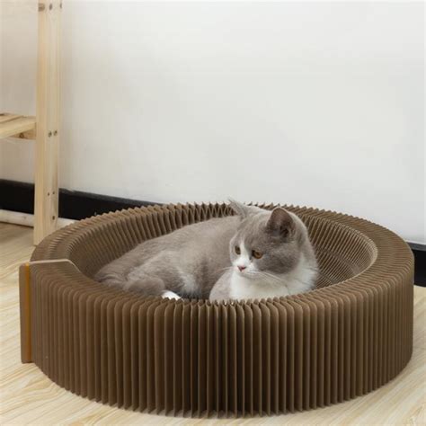 Magic Cat Scratching Board Interactive Scratch Pad Cat Toys – Pawpycup