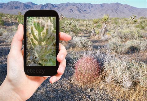 tourist shooting photo of cactus in Mojave Desert 12861311 Stock Photo ...