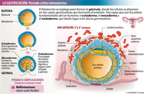 Pin En Embarazo