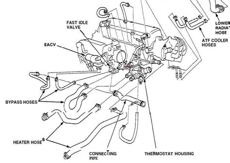 Exploring the Cooling System of a 2002 Honda Civic