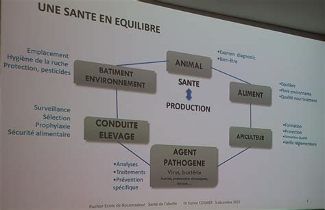 Lancement De Lann E Apicole Rucher Cole De Rocamadour