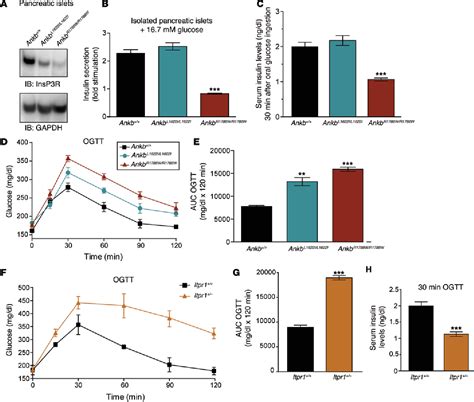 Figure From Ankyrin B Metabolic Syndrome Combines Age Dependent