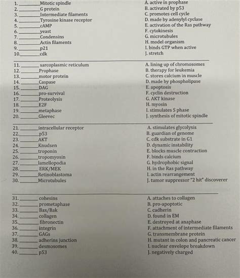 Solved 1. Mitotic spindle A. active in prophase 2. G protein | Chegg.com