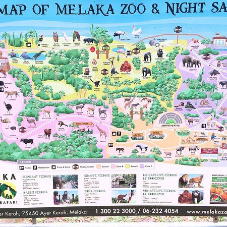 photo1.jpg - Picture of Melaka Zoo and Night Safari, Ayer Keroh ...