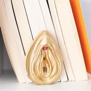Anatomical Model Vulva Clitoris And Educational Notes 3d Printed Vagina